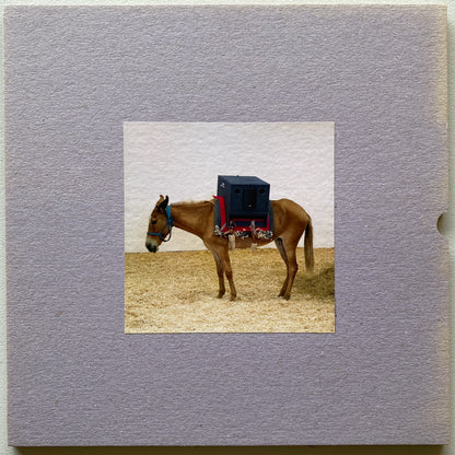 Rodrigo Campos (2),Gui Amabis e Juçara Marçal — Sambas Do Absurdo (LP Vinyl Record, used)